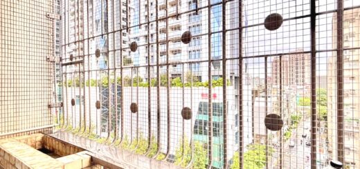 台北方格網防鴿安裝實績
